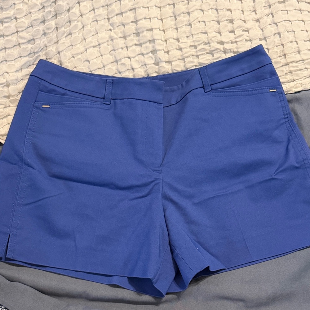 White House Black Market Cobalt Blue Tailored Shorts